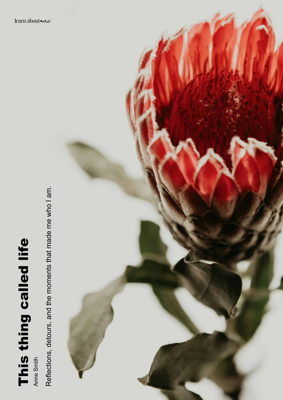 The cover of Anne Smith's Life Story sample: This thing called life